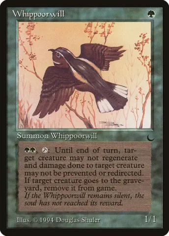 Whippoorwill · 91