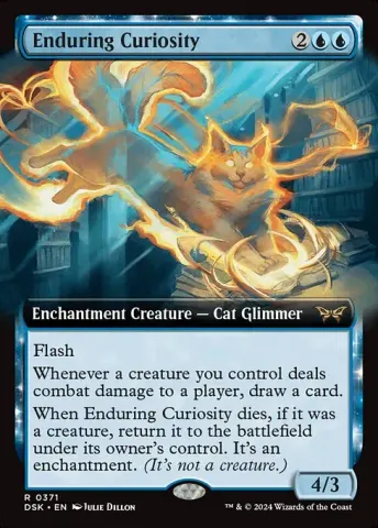 Enduring Curiosity · 371