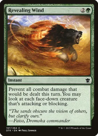 Revealing Wind · 197