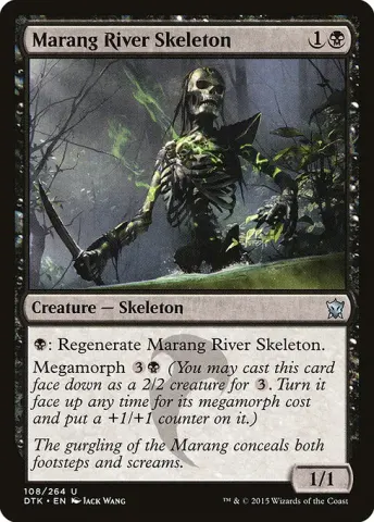 Marang River Skeleton · 108