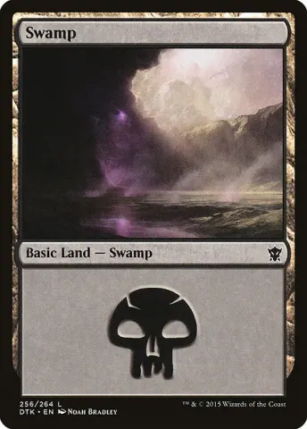 Swamp · 256