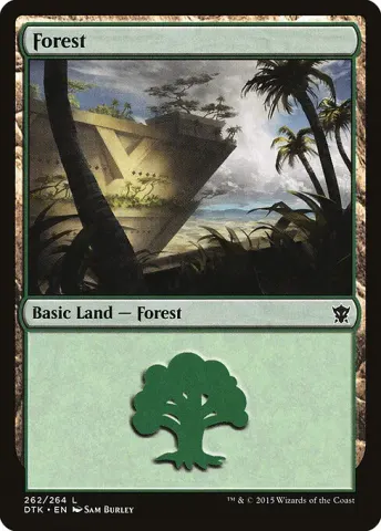 Forest · 262