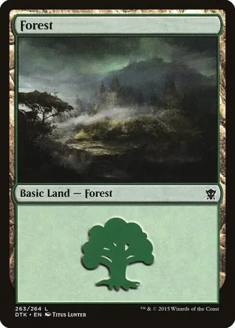 Forest · 263