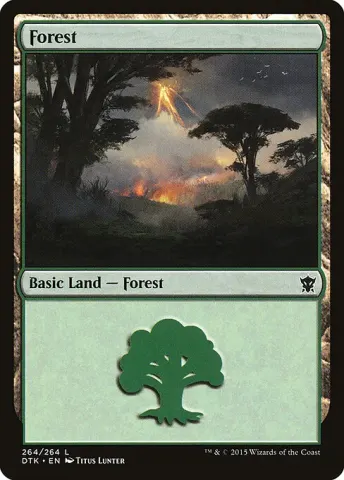 Forest · 264