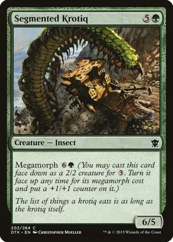 Segmented Krotiq · 202