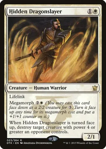 Hidden Dragonslayer · 23