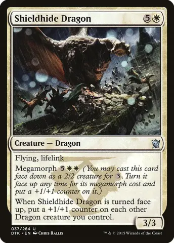 Shieldhide Dragon · 37