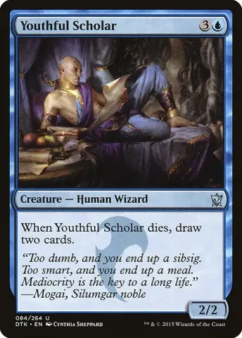Youthful Scholar · 84