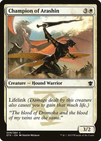 Champion of Arashin · 9