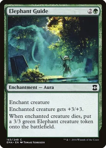 Elephant Guide · 163