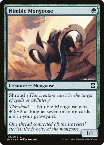 Nimble Mongoose · 179