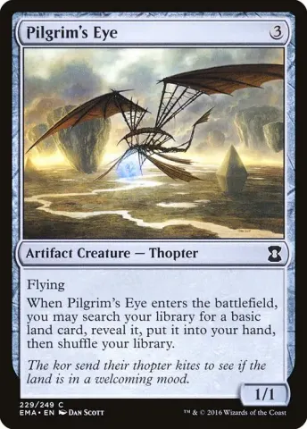 Pilgrim's Eye · 229
