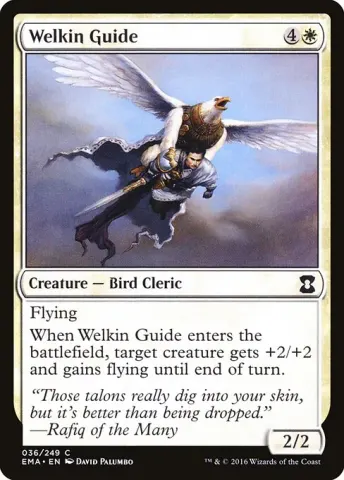Welkin Guide · 36