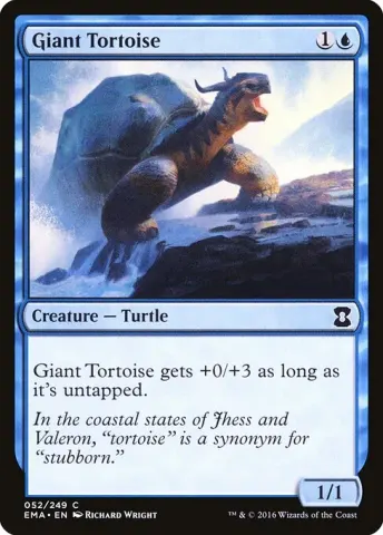 Giant Tortoise · 52