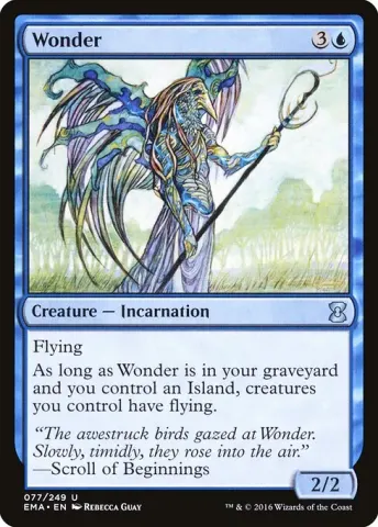 Wonder · 77