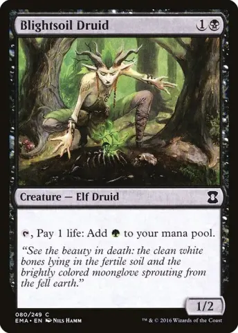 Blightsoil Druid · 80