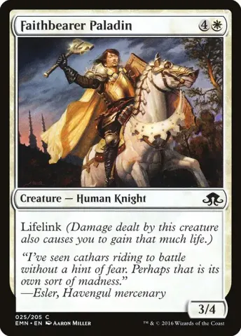 Faithbearer Paladin · 25