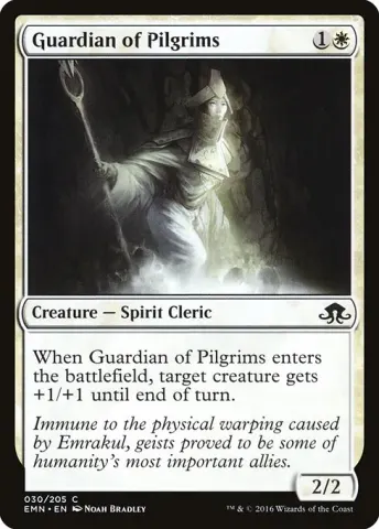 Guardian of Pilgrims · 30