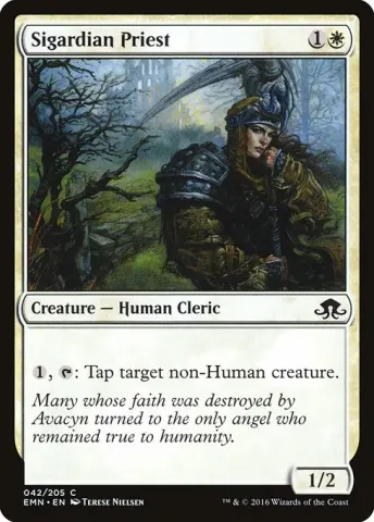 Sigardian Priest · 42