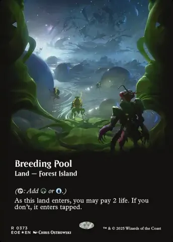 Breeding Pool · 373