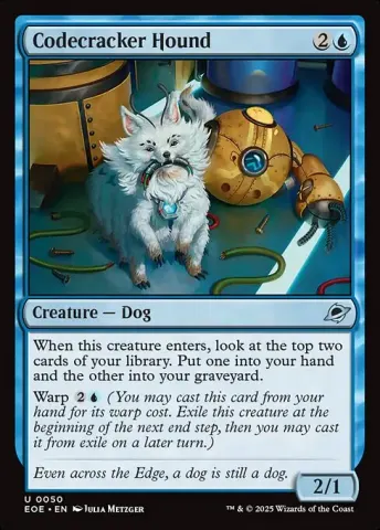 Codecracker Hound · 50