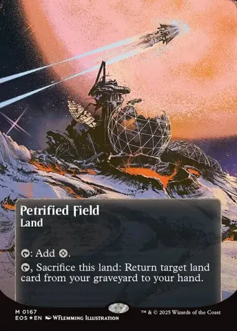 Petrified Field · 167
