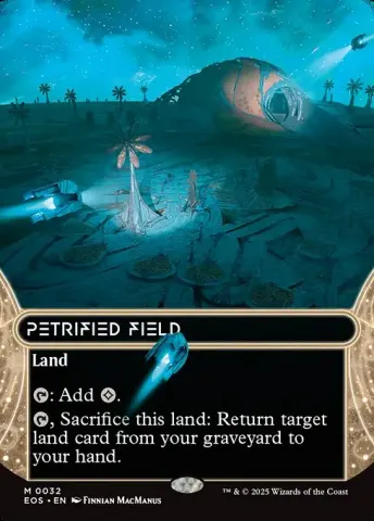 Petrified Field · 32
