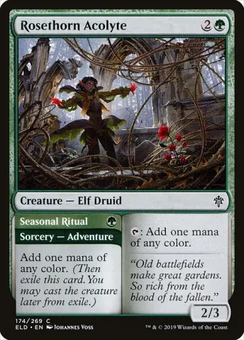 Rosethorn Acolyte // Seasonal Ritual · 174