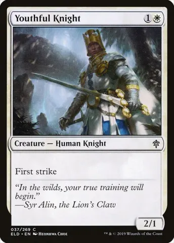 Youthful Knight · 37