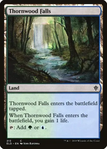 Thornwood Falls · 313