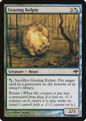 Grazing Kelpie · 153