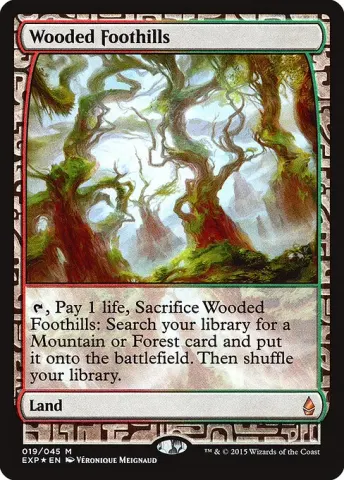 Wooded Foothills · 19