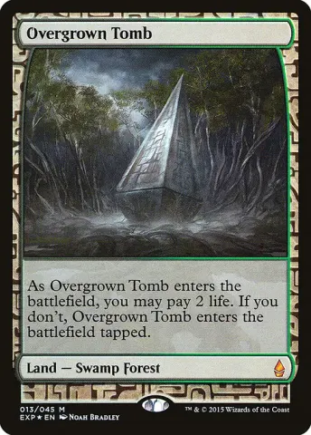 Overgrown Tomb · 13
