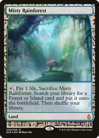 Misty Rainforest · 25