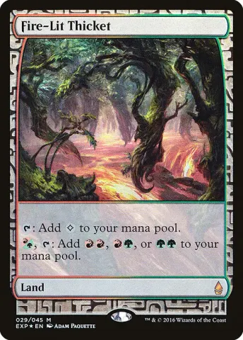 Fire-Lit Thicket · 29