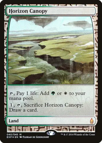 Horizon Canopy · 40