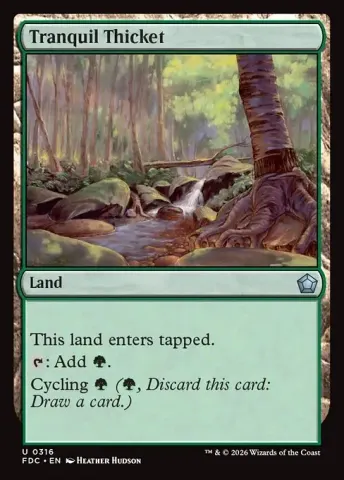 Tranquil Thicket · 316