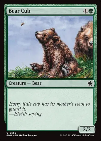 Bear Cub · 552