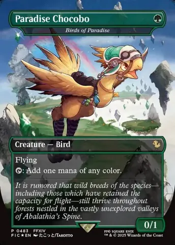 Birds of Paradise · 483