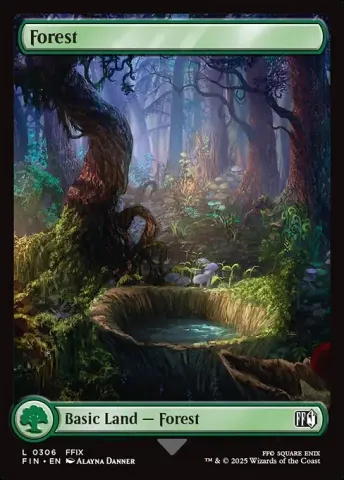 Forest · 306