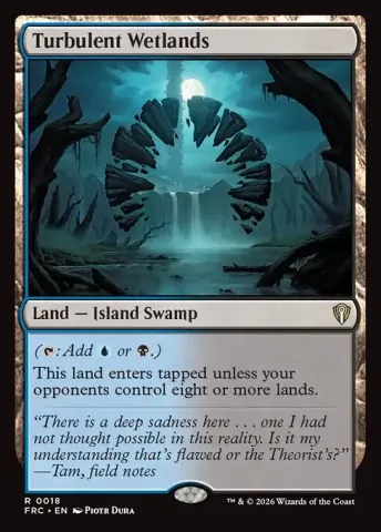 Turbulent Wetlands · 18