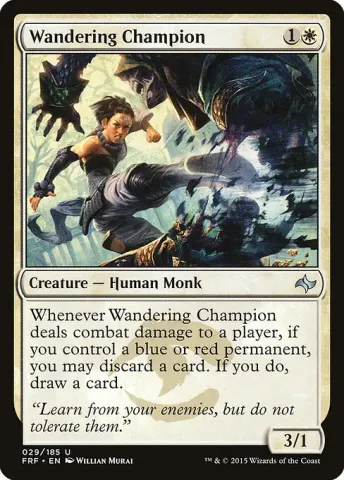Wandering Champion · 29