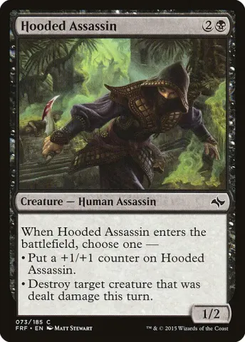 Hooded Assassin · 73