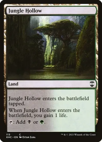 Jungle Hollow · 113