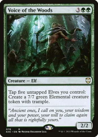 Voice of the Woods · 78