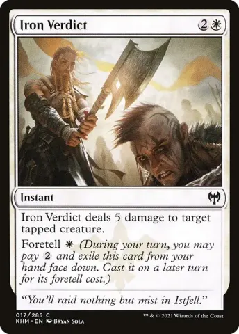 Iron Verdict · 17