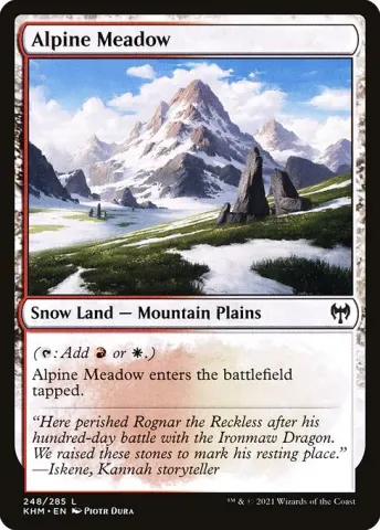 Alpine Meadow · 248