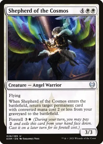 Shepherd of the Cosmos · 28