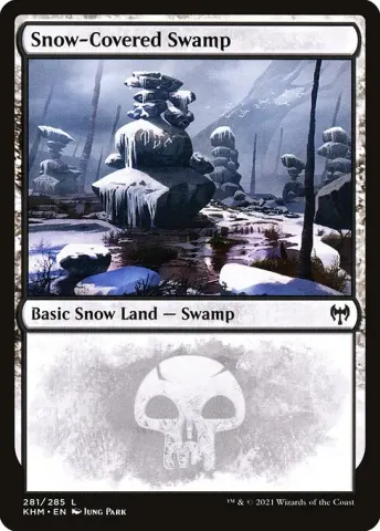 Snow-Covered Swamp · 281