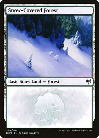 Snow-Covered Forest · 284